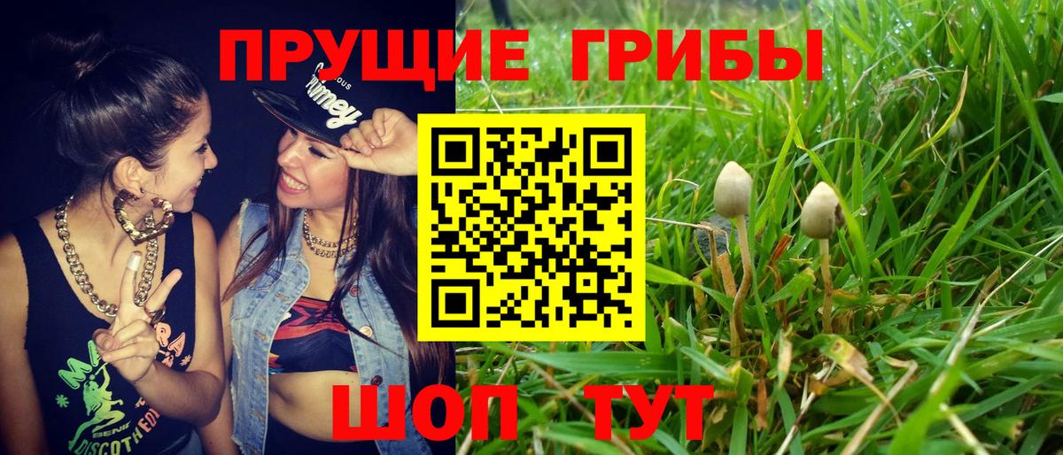 Псилоцибиновые грибы Magic Shrooms  Вход с VPN  закладки  Назрань 