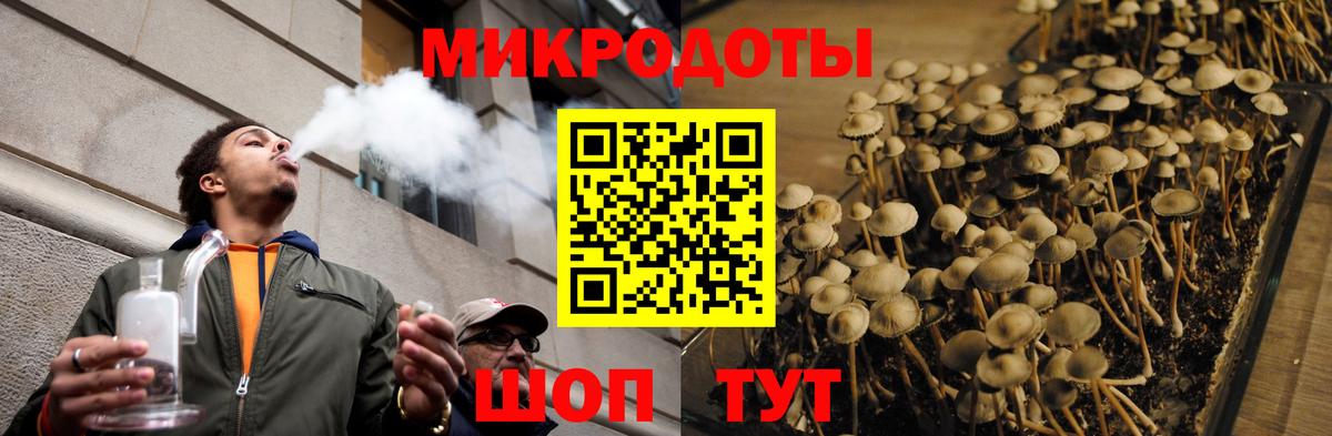 Псилоцибиновые грибы ЛСД Назрань
